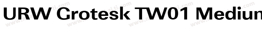 URW Grotesk TW01 Medium XWide字体转换